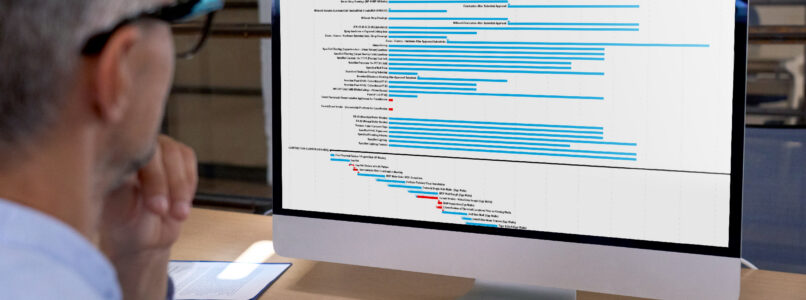 Man reviewing a project schedule Gantt chart on a desktop computer
